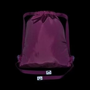 Bagmaster SÁČEK LUMI 26 A školní na přezůvky / tělocvik – pejsek